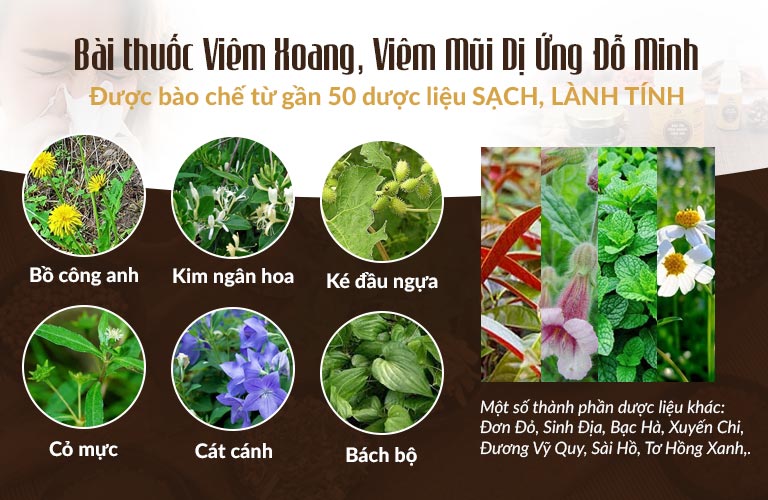 Nguồn thảo dược HỮU CƠ thuần Việt có mặt trong bài thuốc Viêm xoang Đỗ Minh
